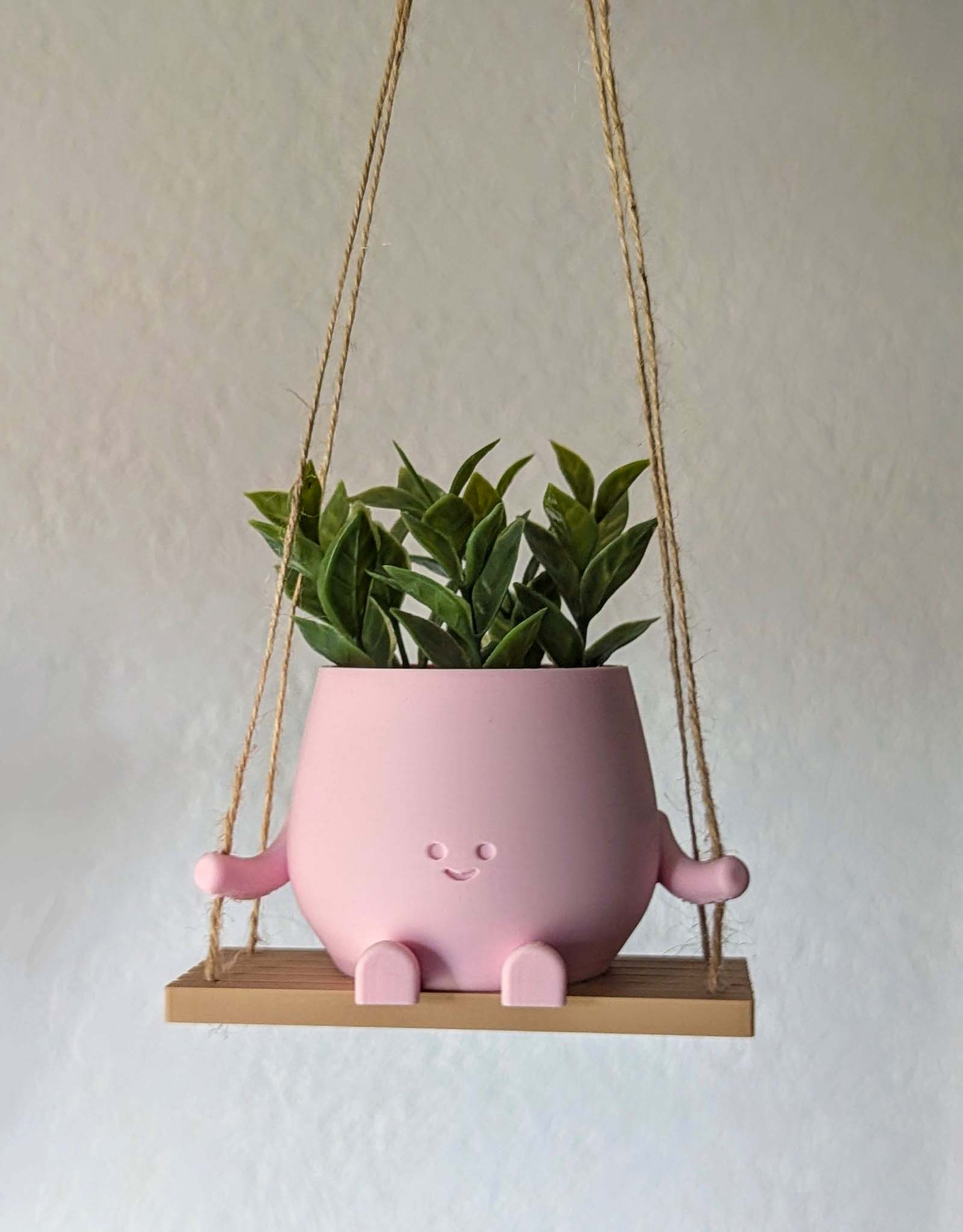 Happy plant pot on a swing