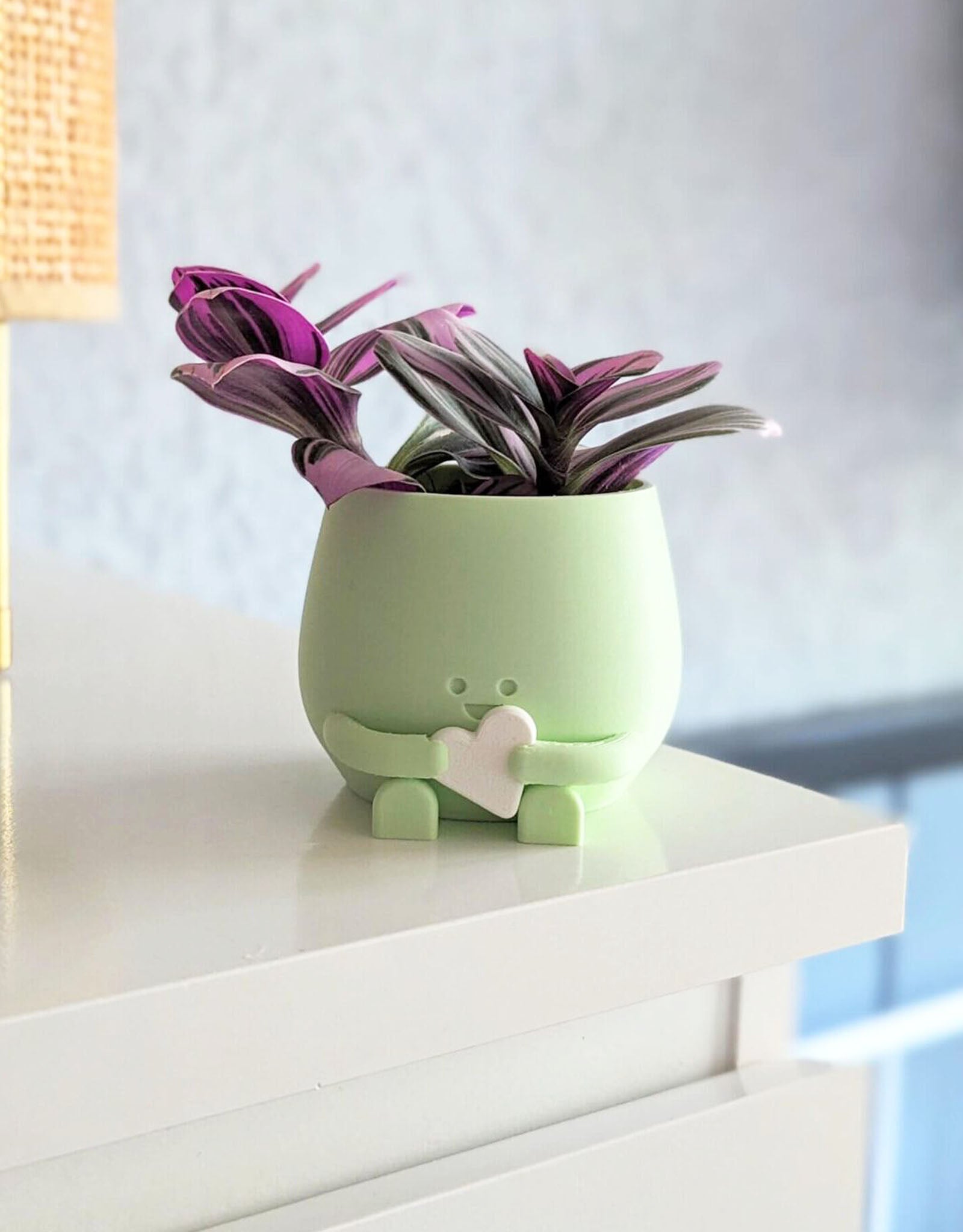 Happy heart plant pot