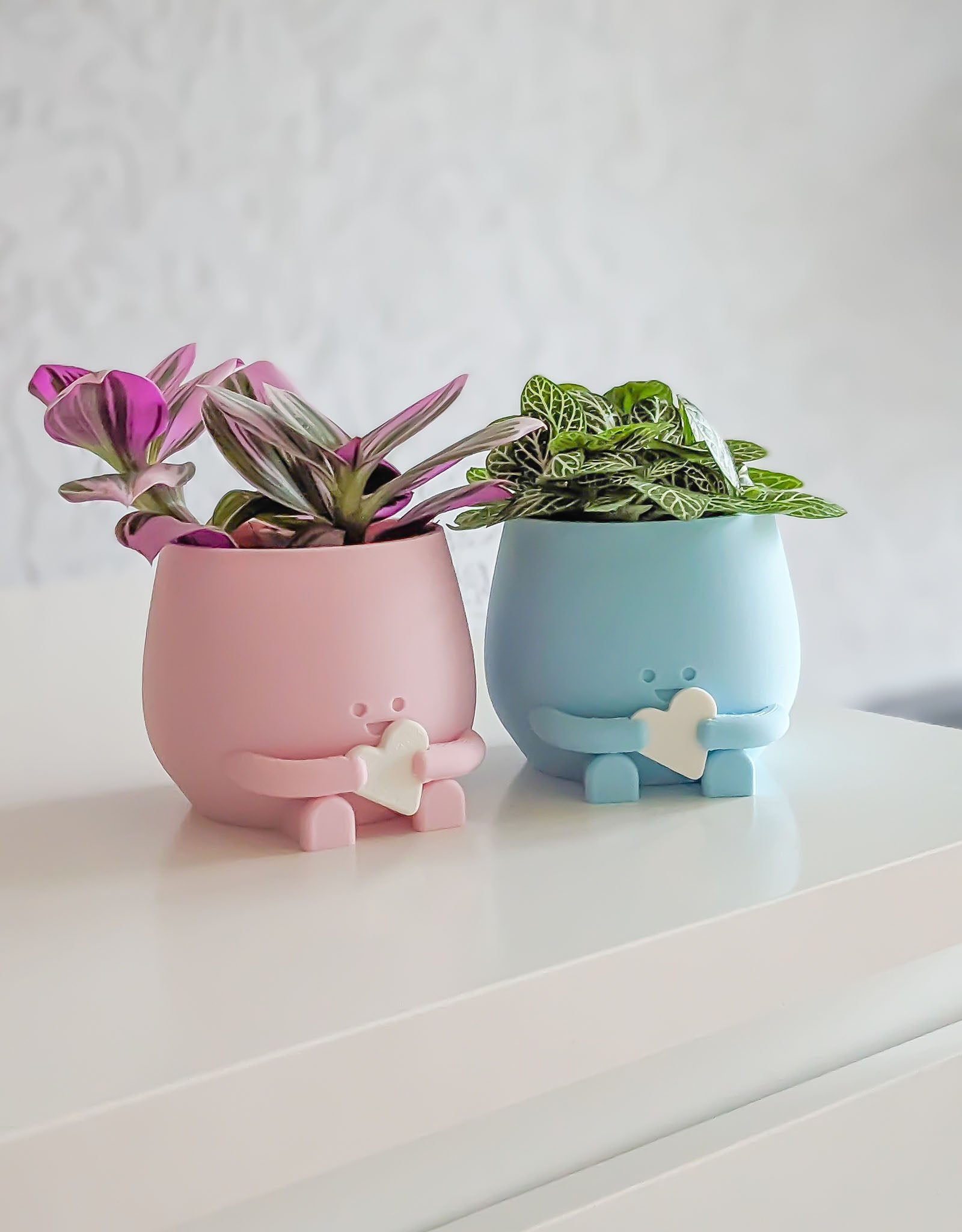 Happy heart plant pot