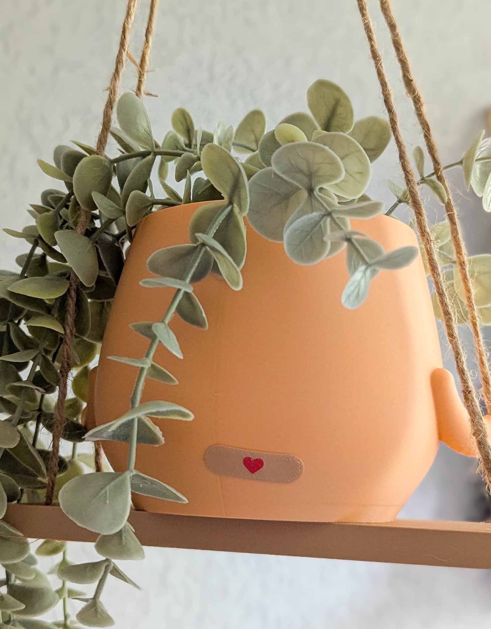 Happy imperfect plant pot on a swing