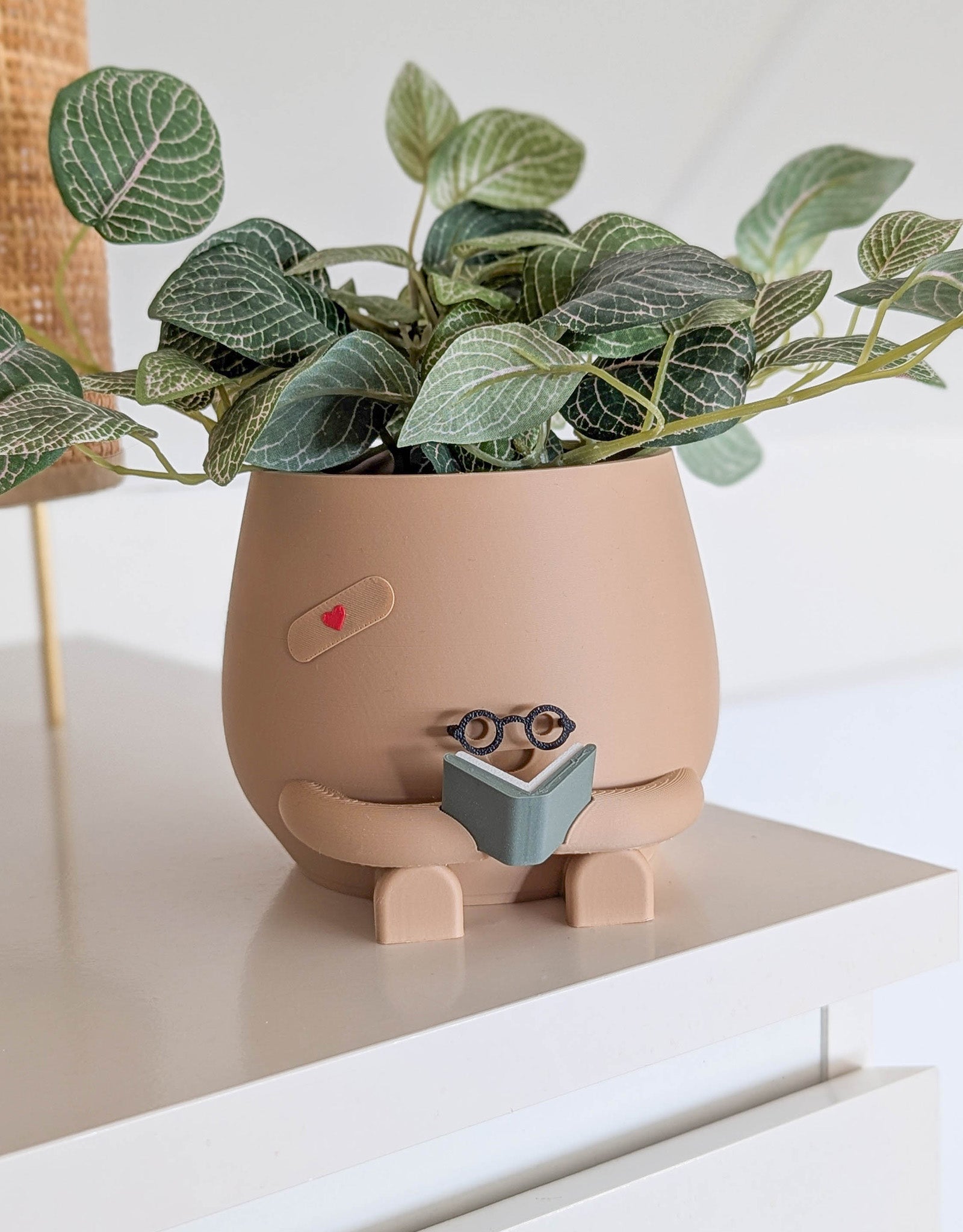 Happy reading imperfect plant pot with glasses