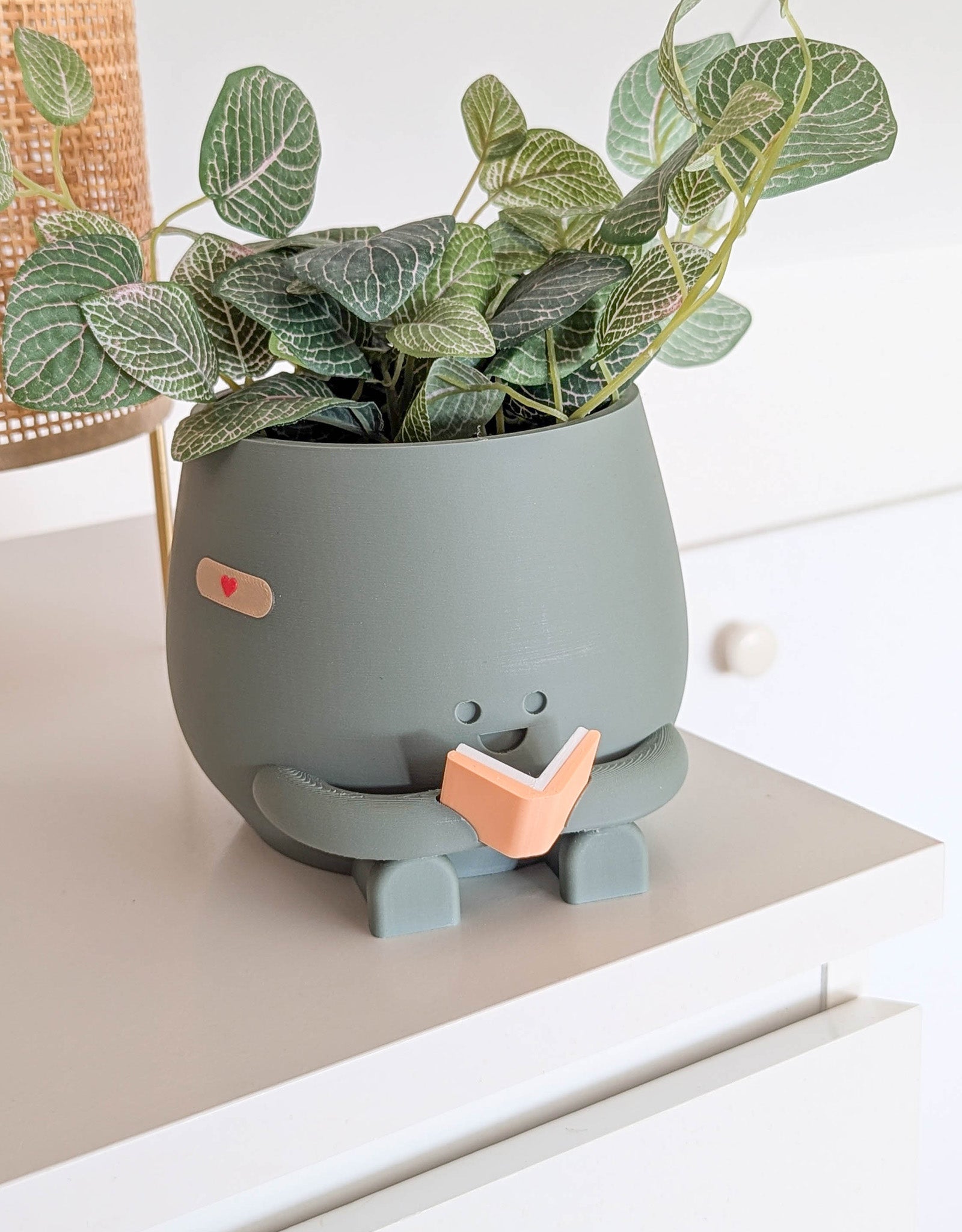 Happy reading imperfect plant pot