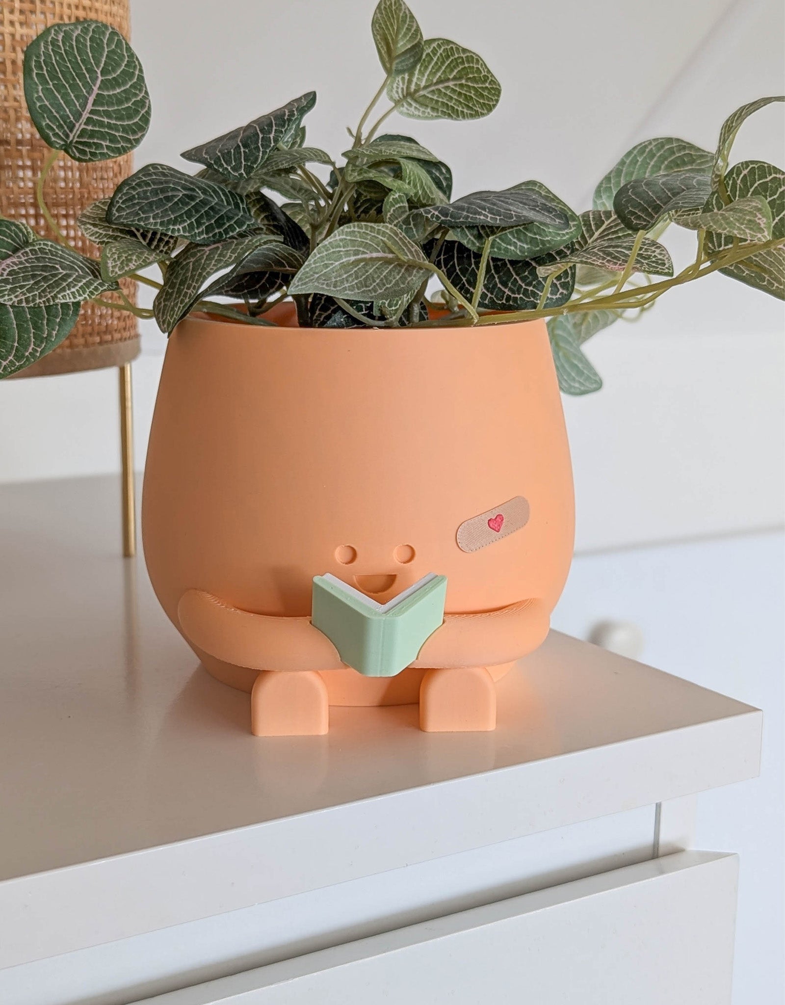 Happy reading imperfect plant pot