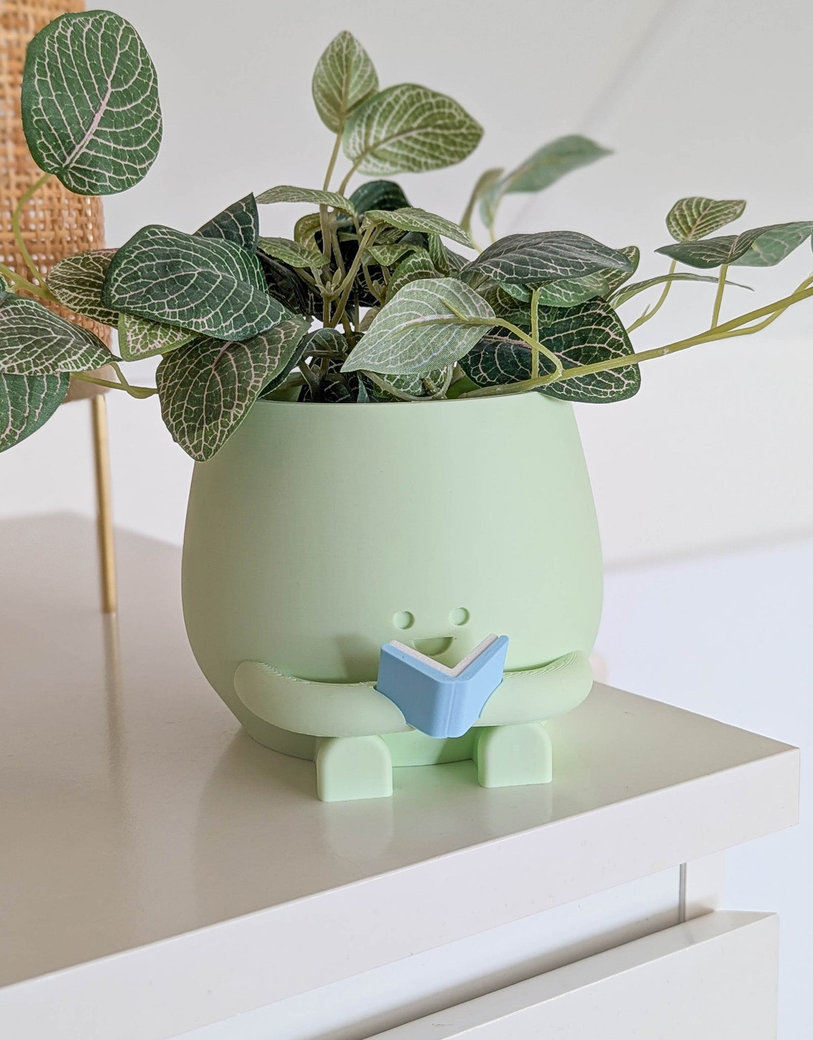 Happy reading imperfect plant pot