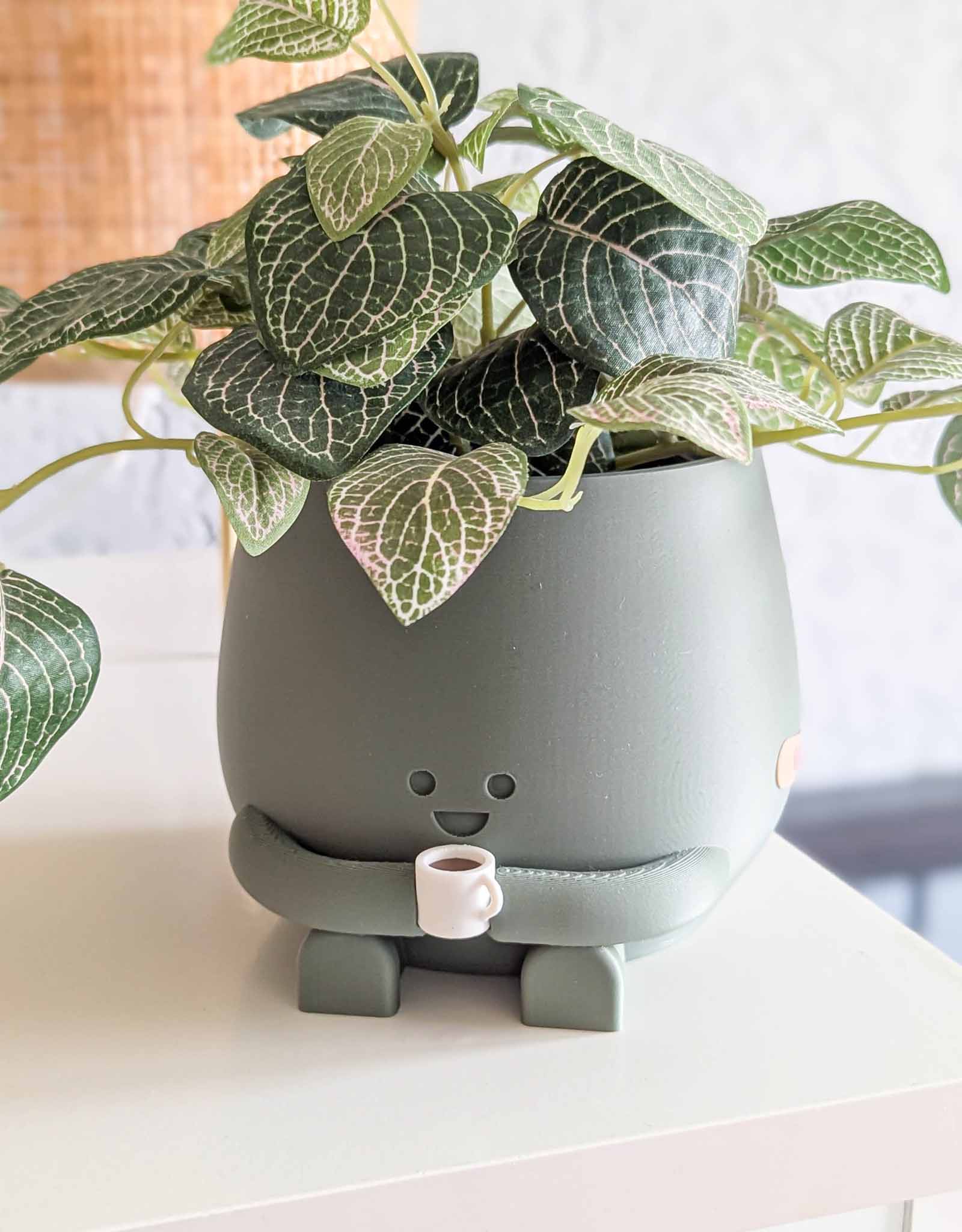 Happy imperfect coffee plant pot