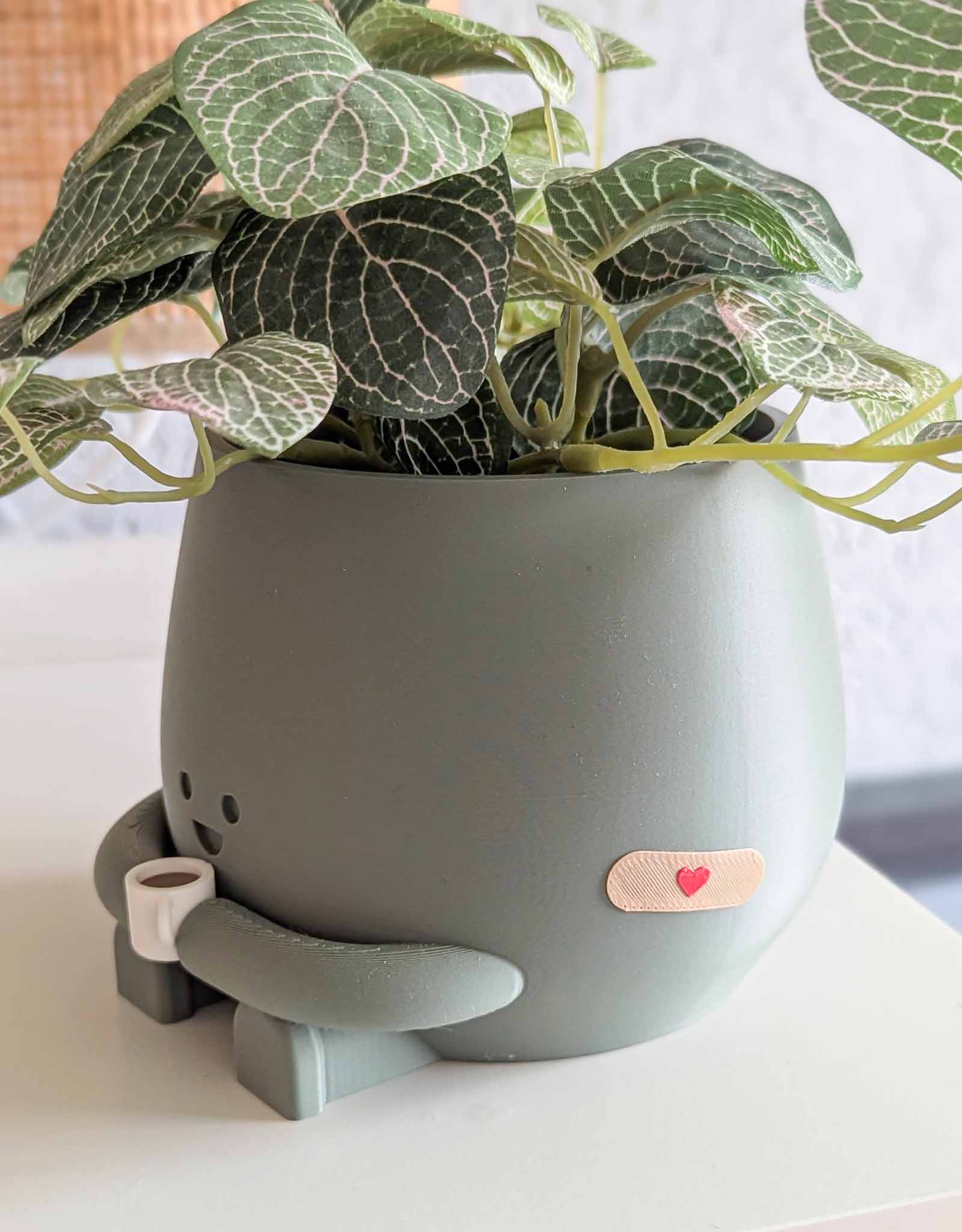 Happy imperfect coffee plant pot