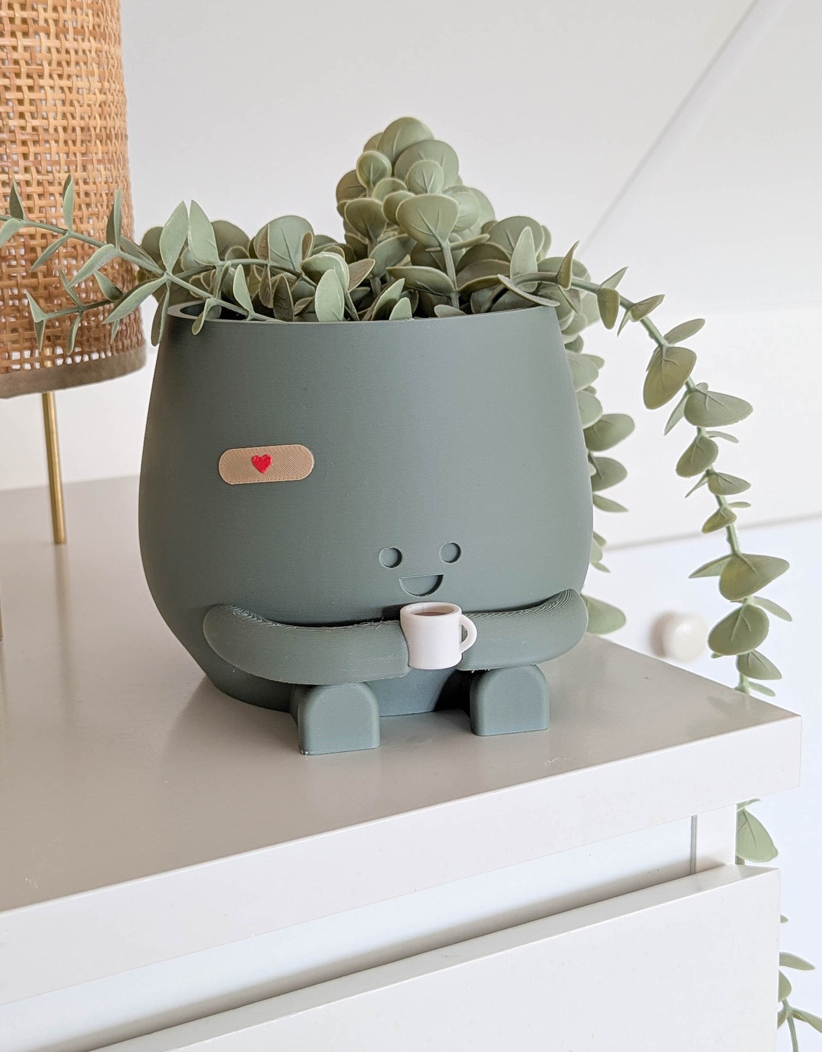 Happy imperfect coffee plant pot