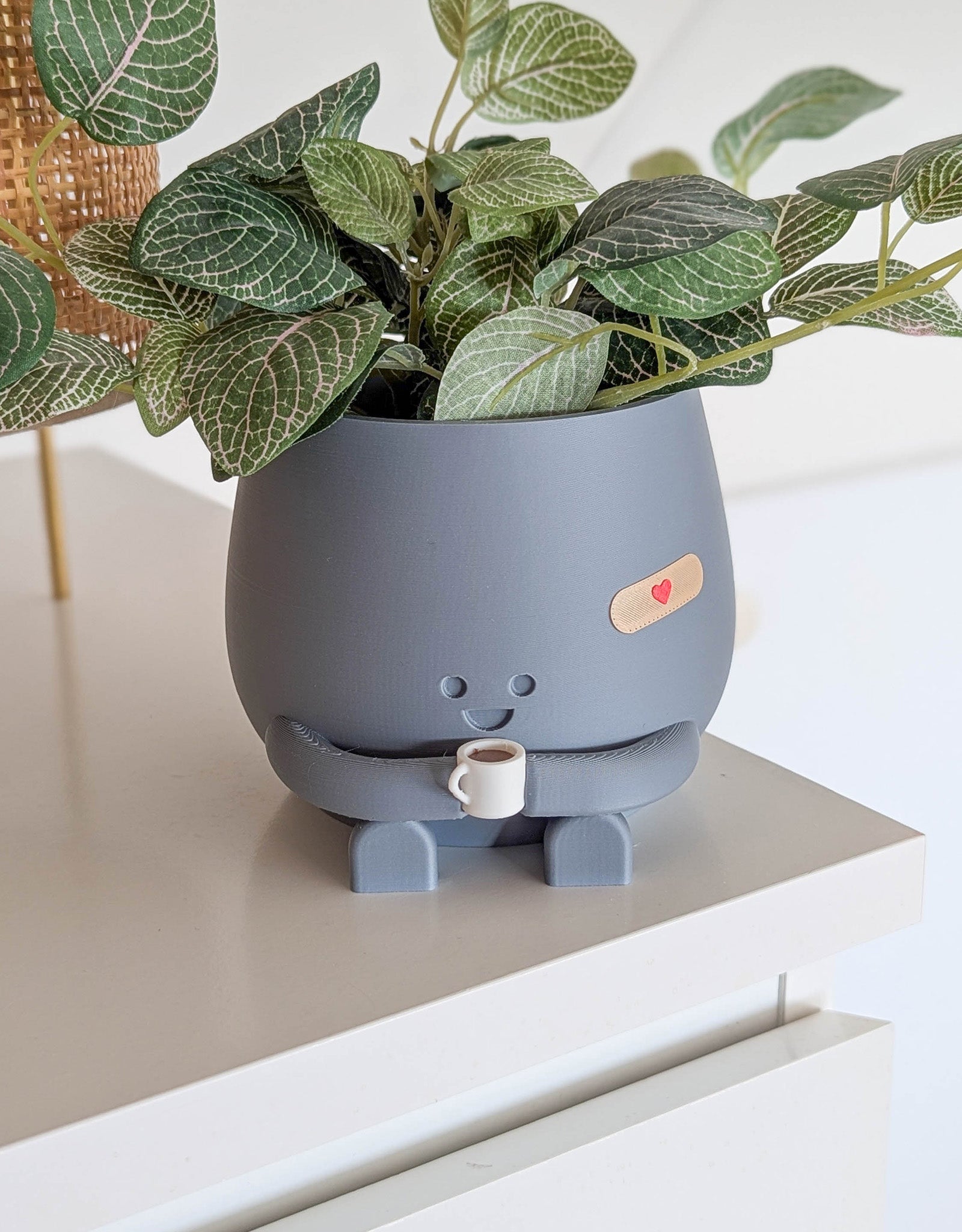 Happy imperfect coffee plant pot