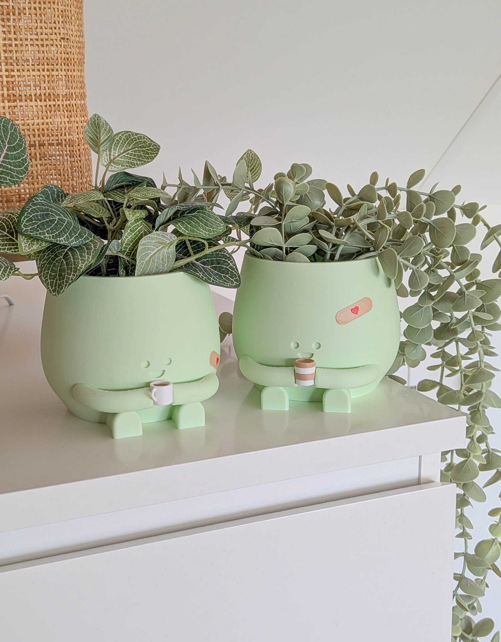 Happy imperfect coffee plant pot