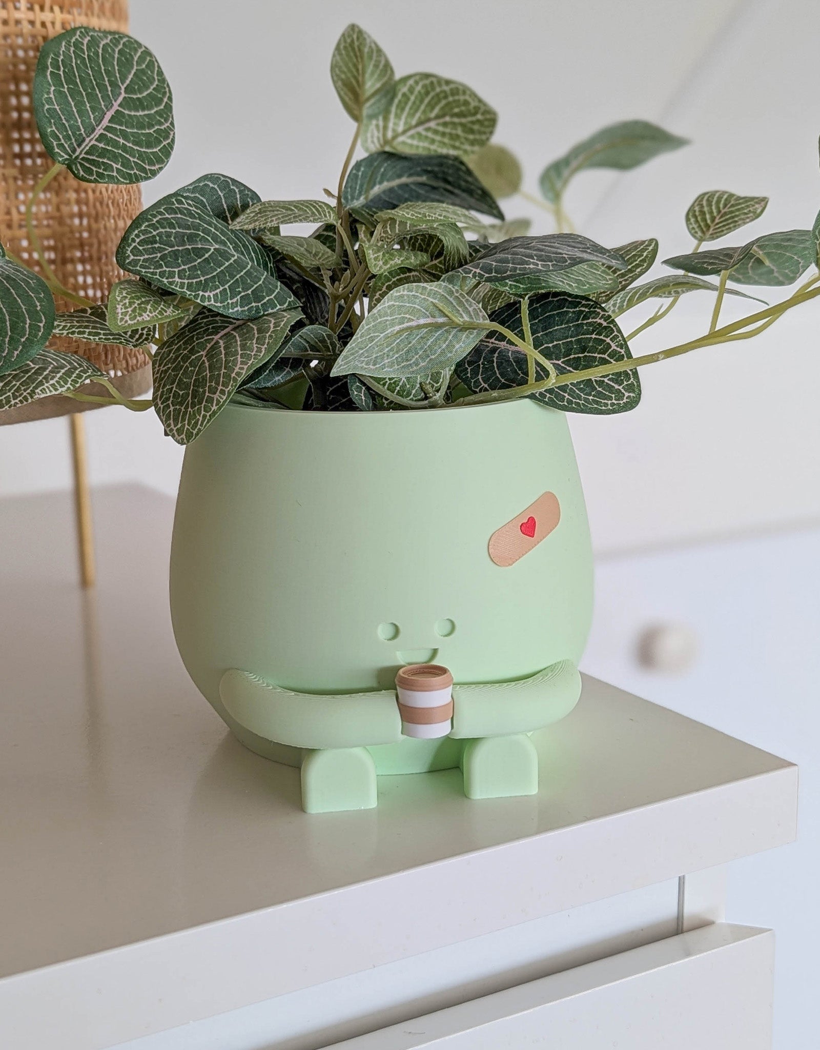 Happy imperfect coffee plant pot