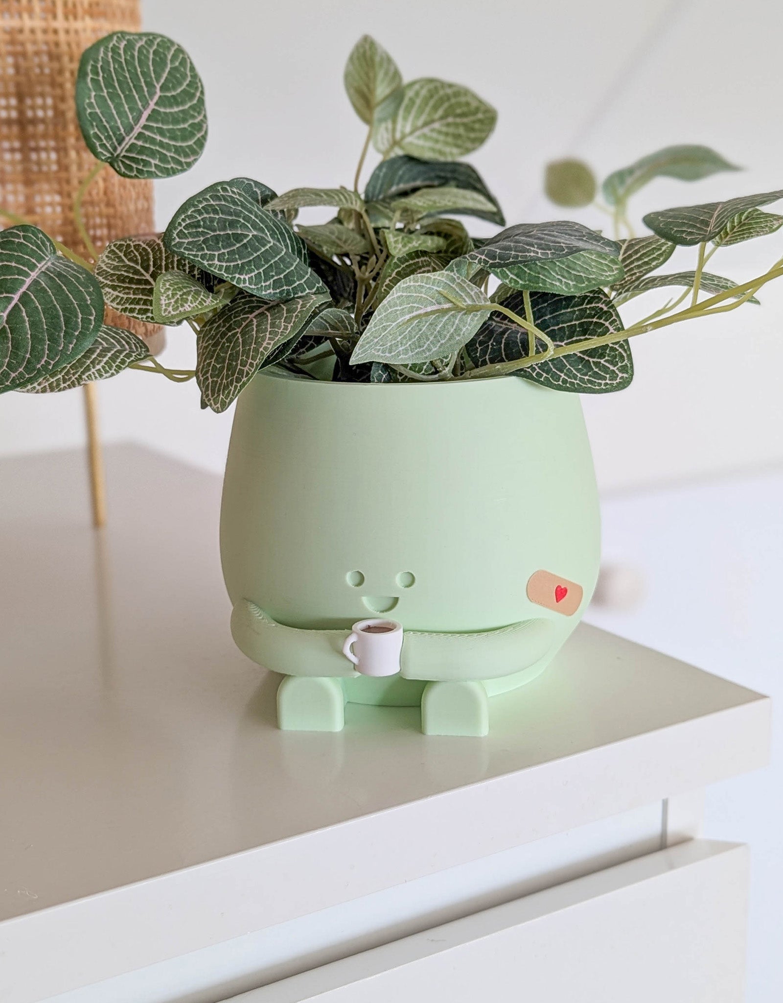 Happy imperfect coffee plant pot
