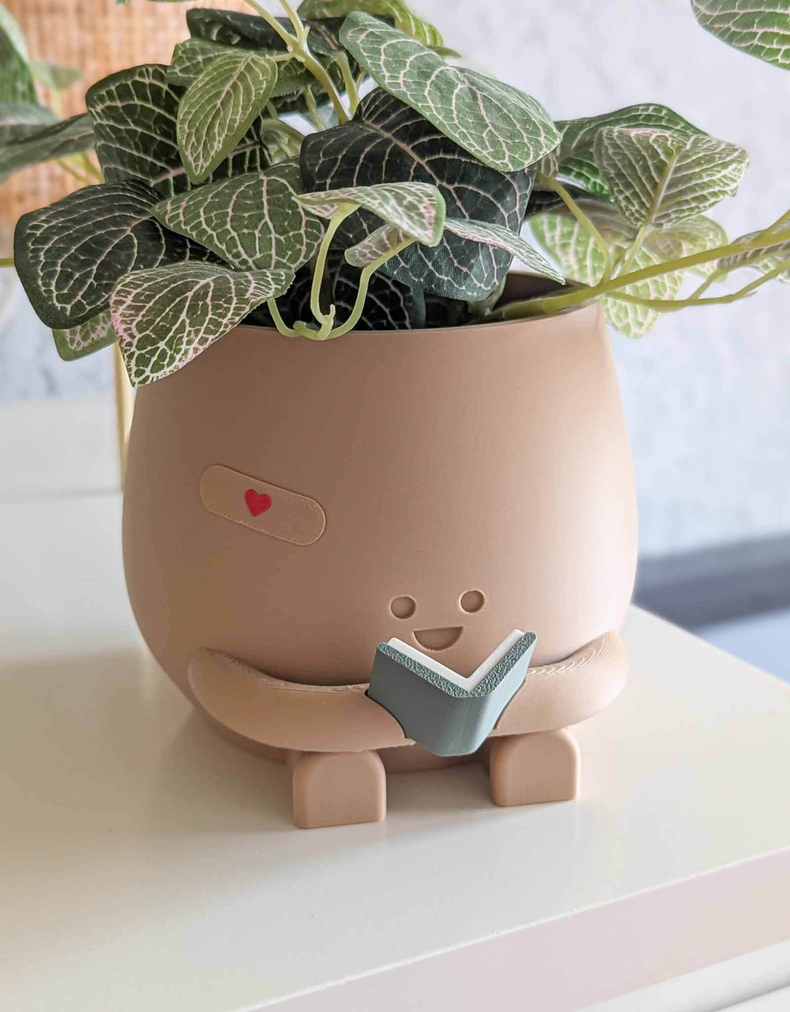 Happy reading imperfect plant pot