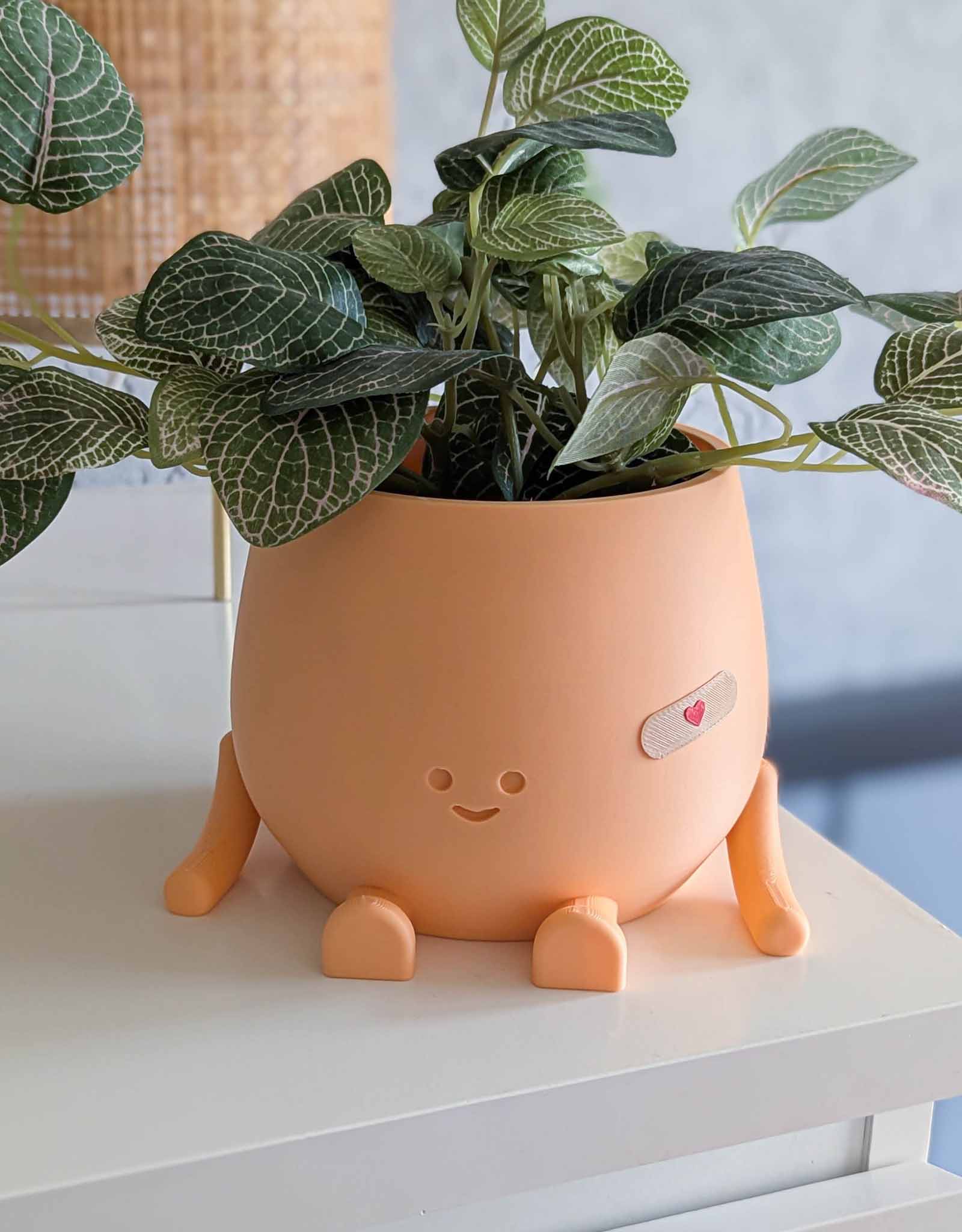 Happy imperfect plant pot