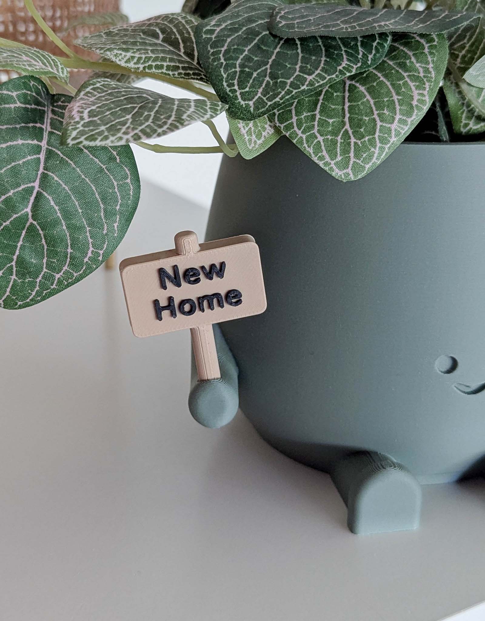 Happy new home plant pot