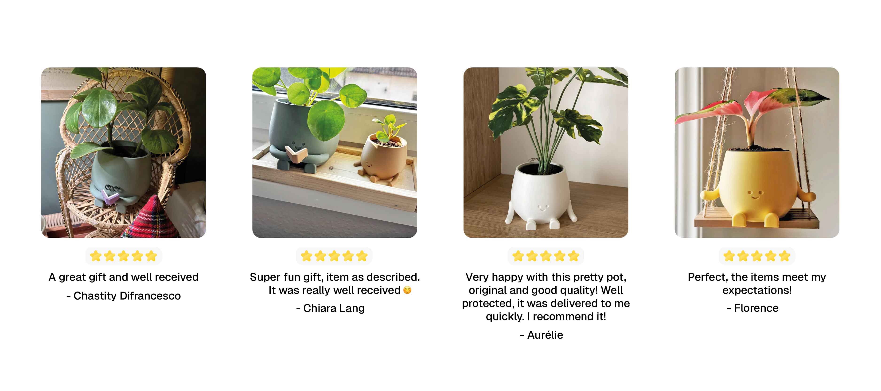 Reviews from book plant pot and plant pot on a swing 