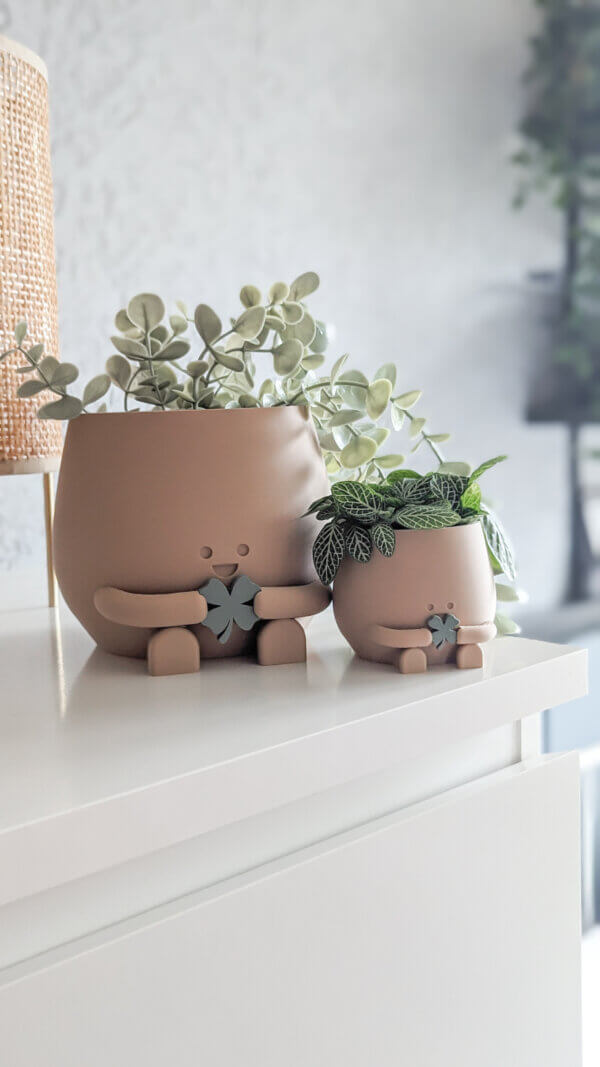 lucky clover plant pot holding clover four