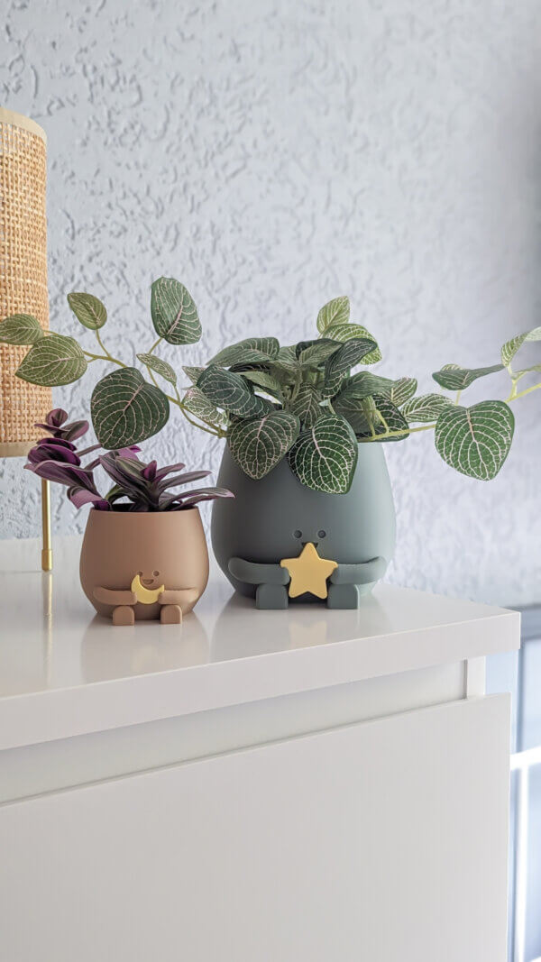 Distinctive plant pot featuring a cute happy face design holding a star or moon