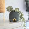 zodiac sign plant pot