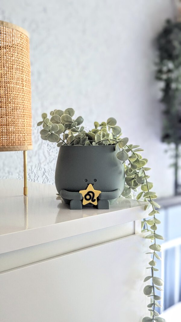 zodiac sign plant pot