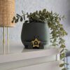Happy plant pot zodiac signs - Image 6