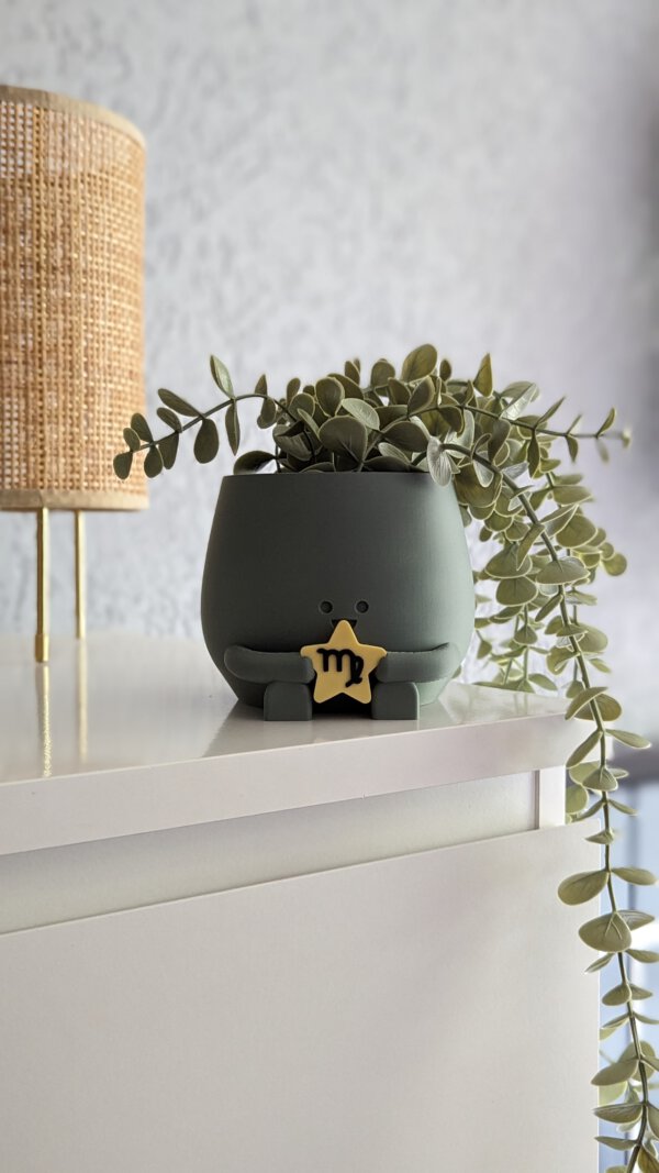 Happy plant pot zodiac signs - Image 7