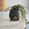 Happy plant pot zodiac signs - Image 8