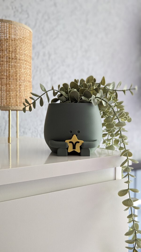 Happy plant pot zodiac signs - Image 8