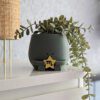 Happy plant pot zodiac signs - Image 9