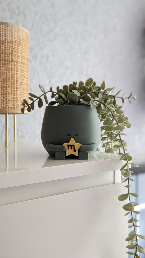 Happy plant pot zodiac signs - Image 9