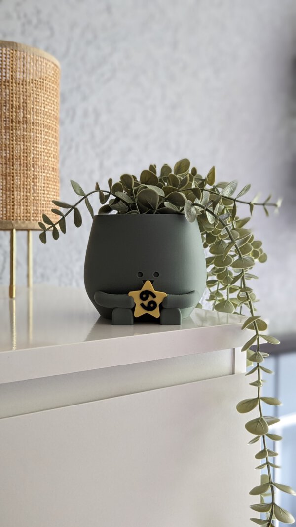 Happy plant pot zodiac signs - Image 10