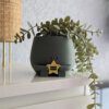 Happy plant pot zodiac signs - Image 11