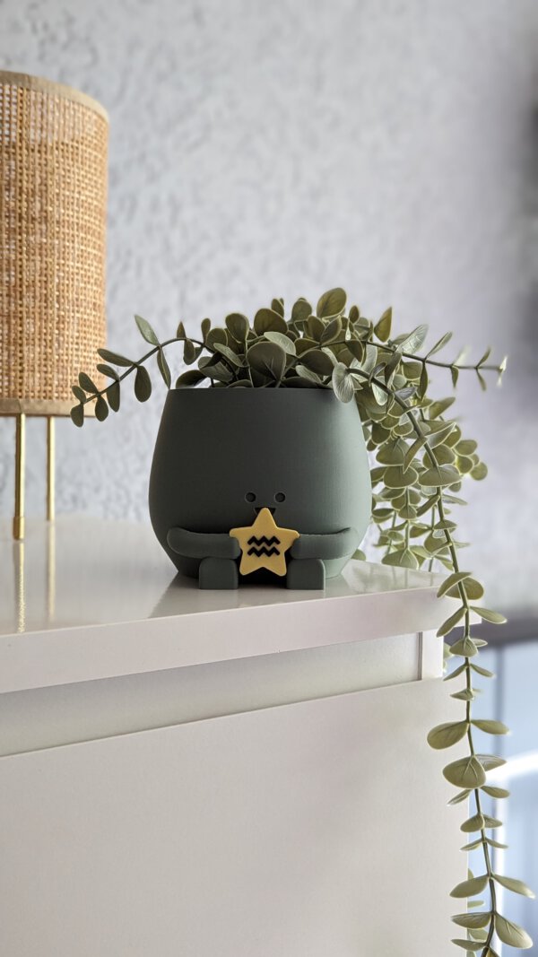 Happy plant pot zodiac signs - Image 11