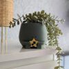 Happy plant pot zodiac signs - Image 12