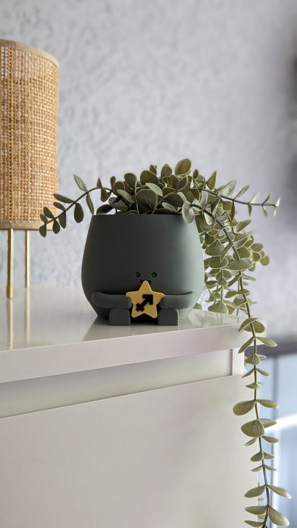 Happy plant pot zodiac signs - Image 12