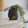 Happy plant pot zodiac signs - Image 13