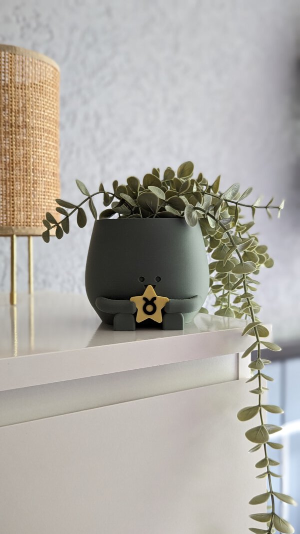 Happy plant pot zodiac signs - Image 13