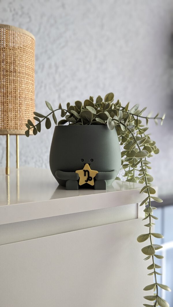 Happy plant pot zodiac signs - Image 14