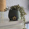 Happy plant pot zodiac signs - Image 15