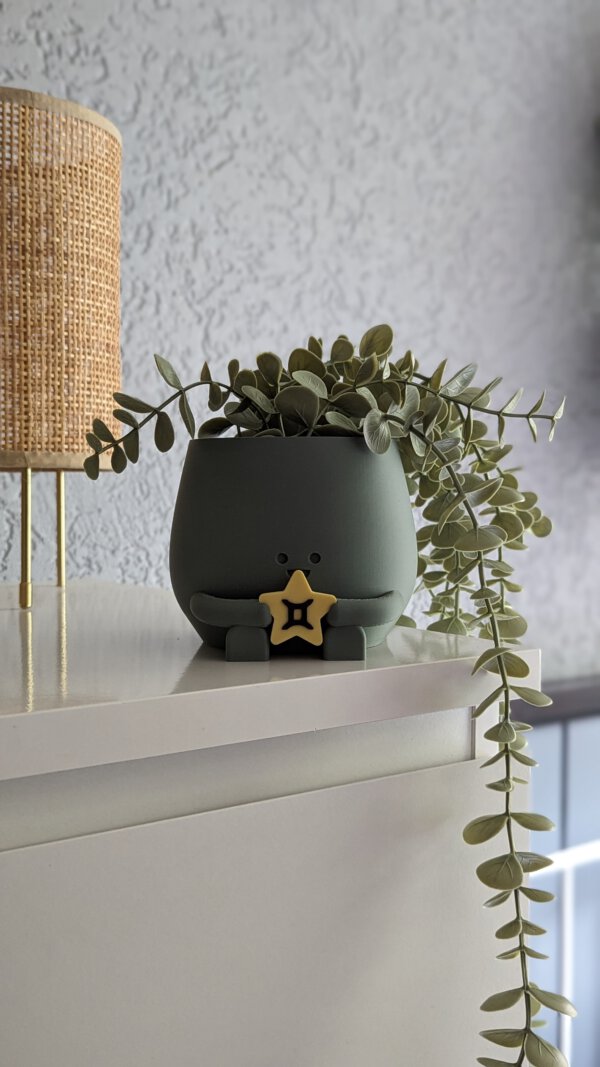 Happy plant pot zodiac signs - Image 15