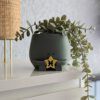 Happy plant pot zodiac signs - Image 5