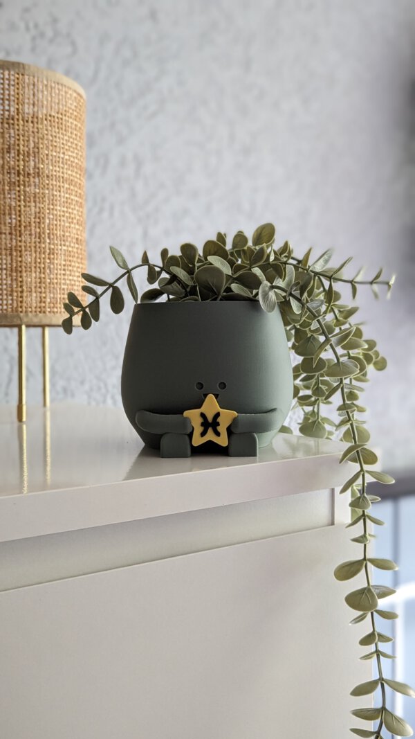 Happy plant pot zodiac signs - Image 5