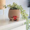 Personalized 3D printed Valentine's Day Happy Face Plant Pot.