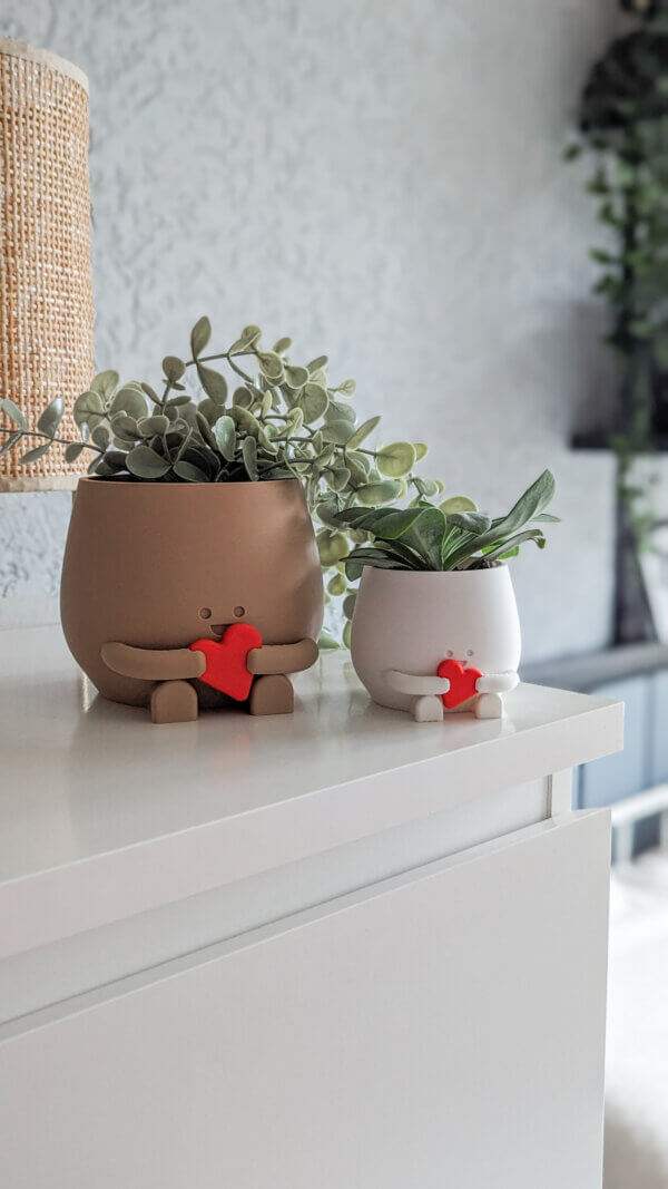 plant pot holding a heart valentine plant pot