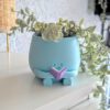Plant pot reading a book