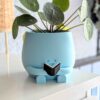 Plant pot reading a book