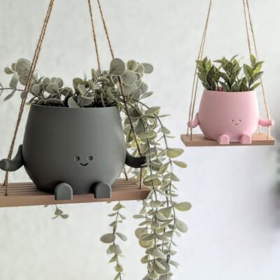 plant pot on a swing