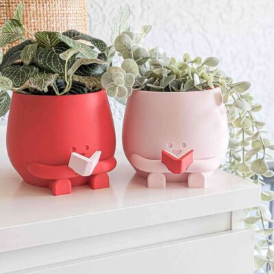 Plant pot reading a book