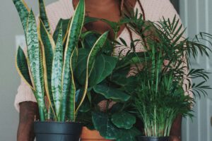 Woman with plants snake pland